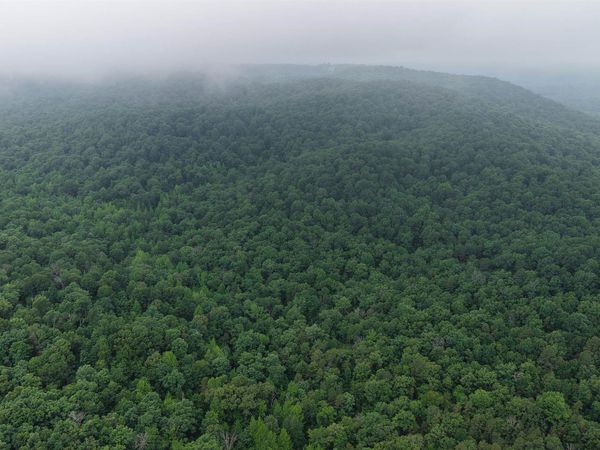 Melbourne, AR 72556