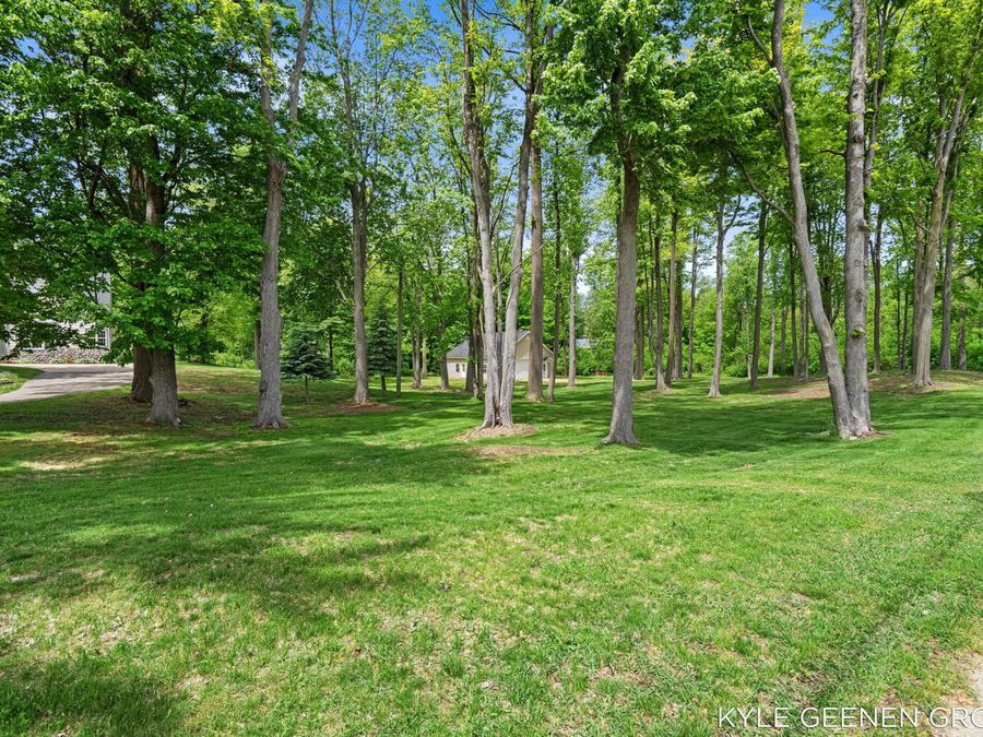 Property Image 74