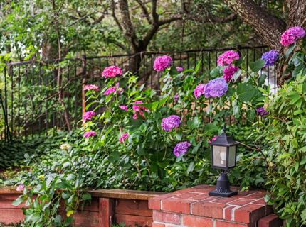 3260 Granite Creek Pl, Newcastle, CA 95658 Photo