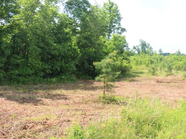 Tract 1 N Nopone Valley Road, Decatur, TN 37322