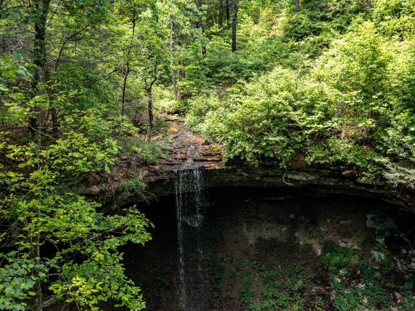 196 Big Bluff View , Pikeville, TN 37367