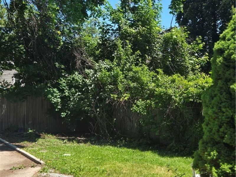 3312 Colburn Avenue, Cleveland, OH 44109 Photo 18