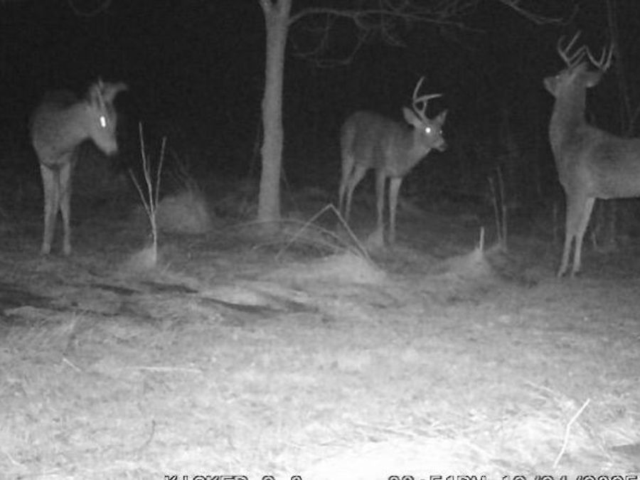 Property Image 33