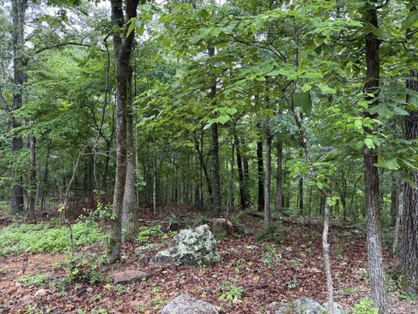 37 Tall Pine Circle , Norfork, AR 72658