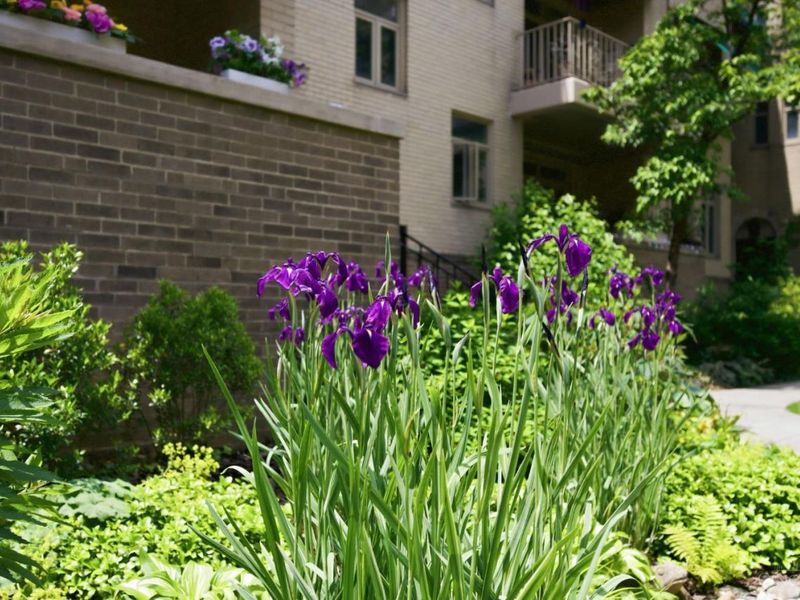 2372 Madison Road, Unit W3D, Cincinnati, OH 45208 Photo 41
