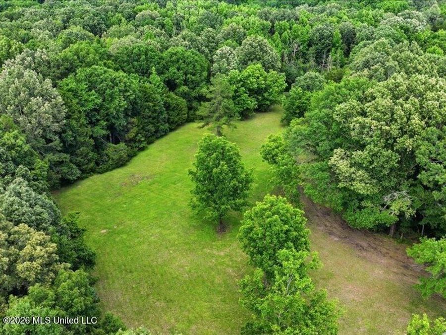 Property Image 63