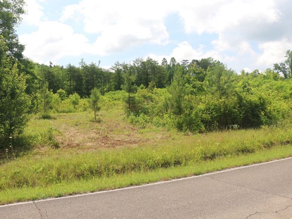 Tract 2 N Nopone Valley Road , Decatur, TN 37322