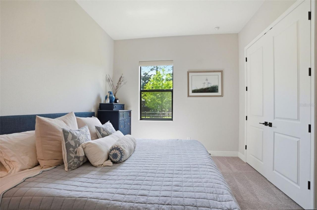 1916 Jullee Lane, Palm Harbor, FL 34683 Photo