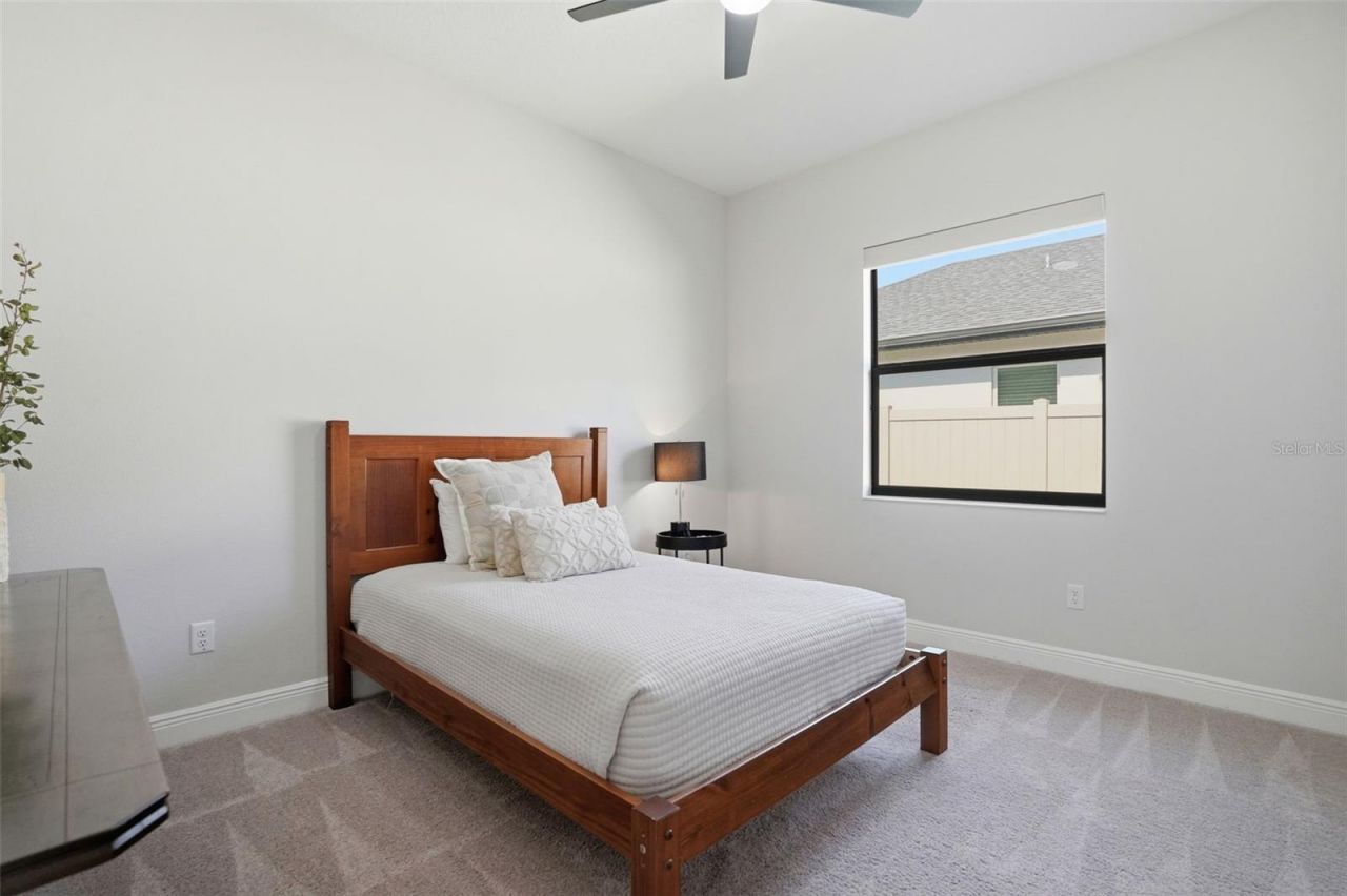 1916 Jullee Lane, Palm Harbor, FL 34683 Photo
