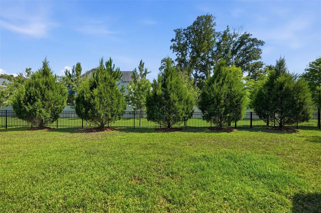 1916 Jullee Lane, Palm Harbor, FL 34683 Photo