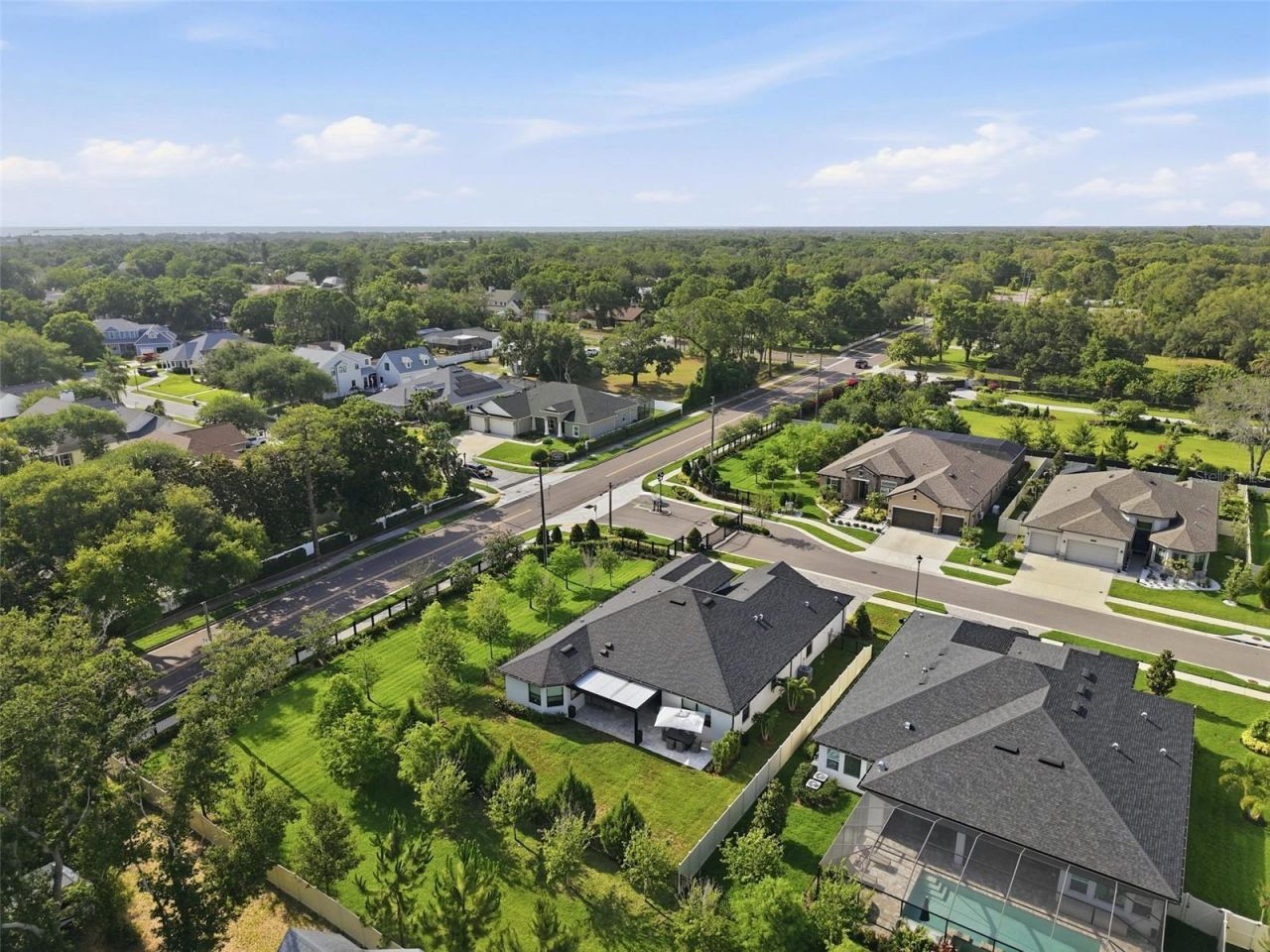 1916 Jullee Lane, Palm Harbor, FL 34683 Photo