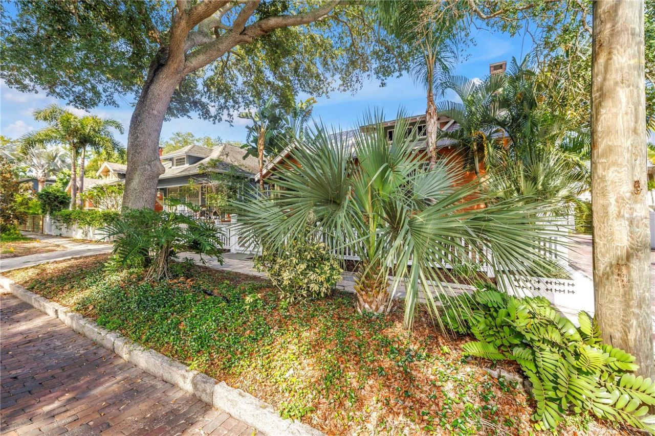 1114 3rd Street N, Saint Petersburg, FL 33701 Photo