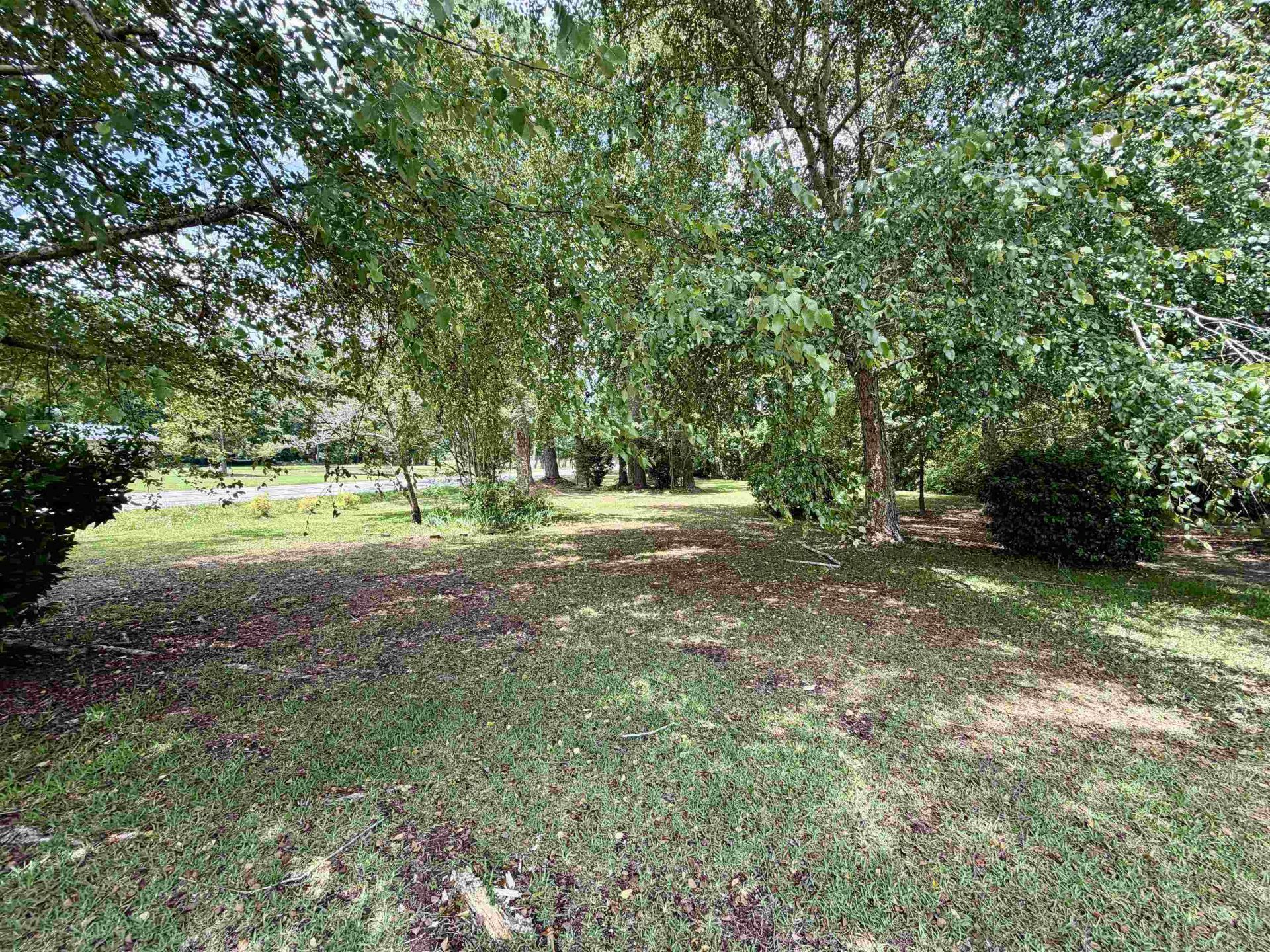 3240 Mount Olive Rd. Photo 28