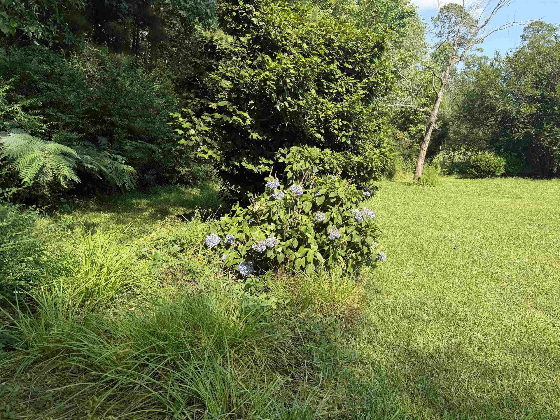 3240 Mount Olive Rd. Photo 36
