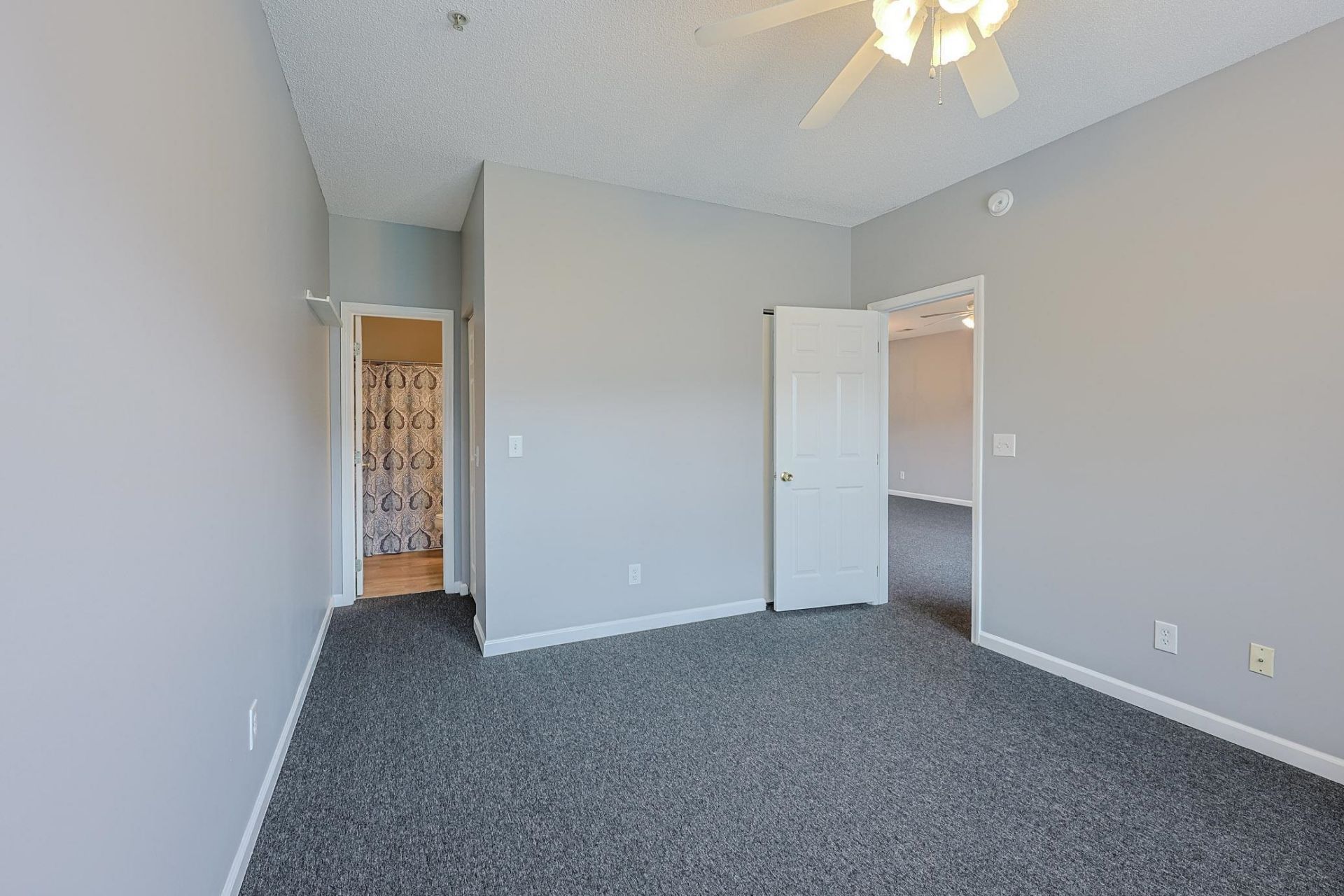 3935 Gladiola Ct.  Photo 16