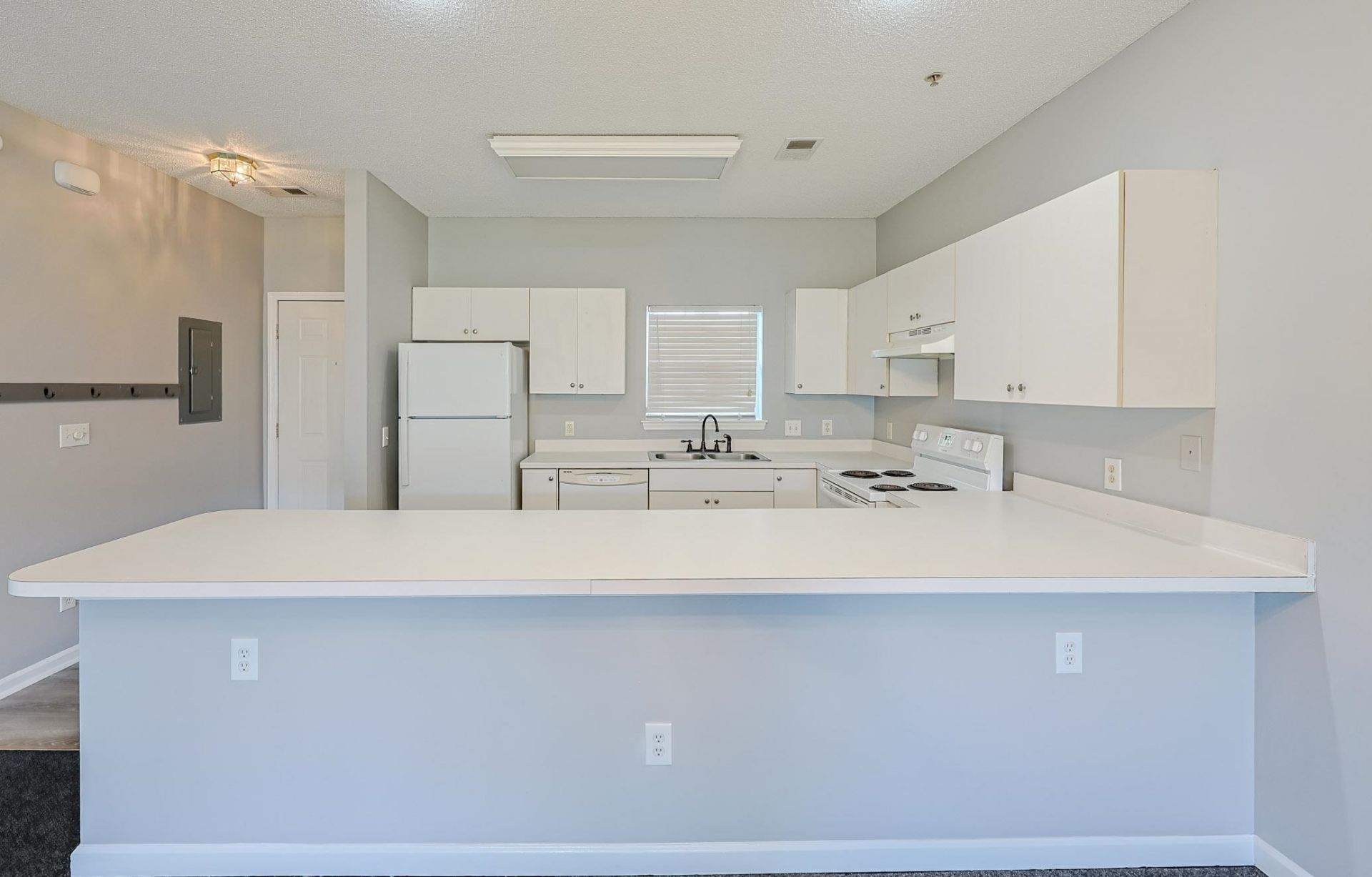 3935 Gladiola Ct.  Photo 5