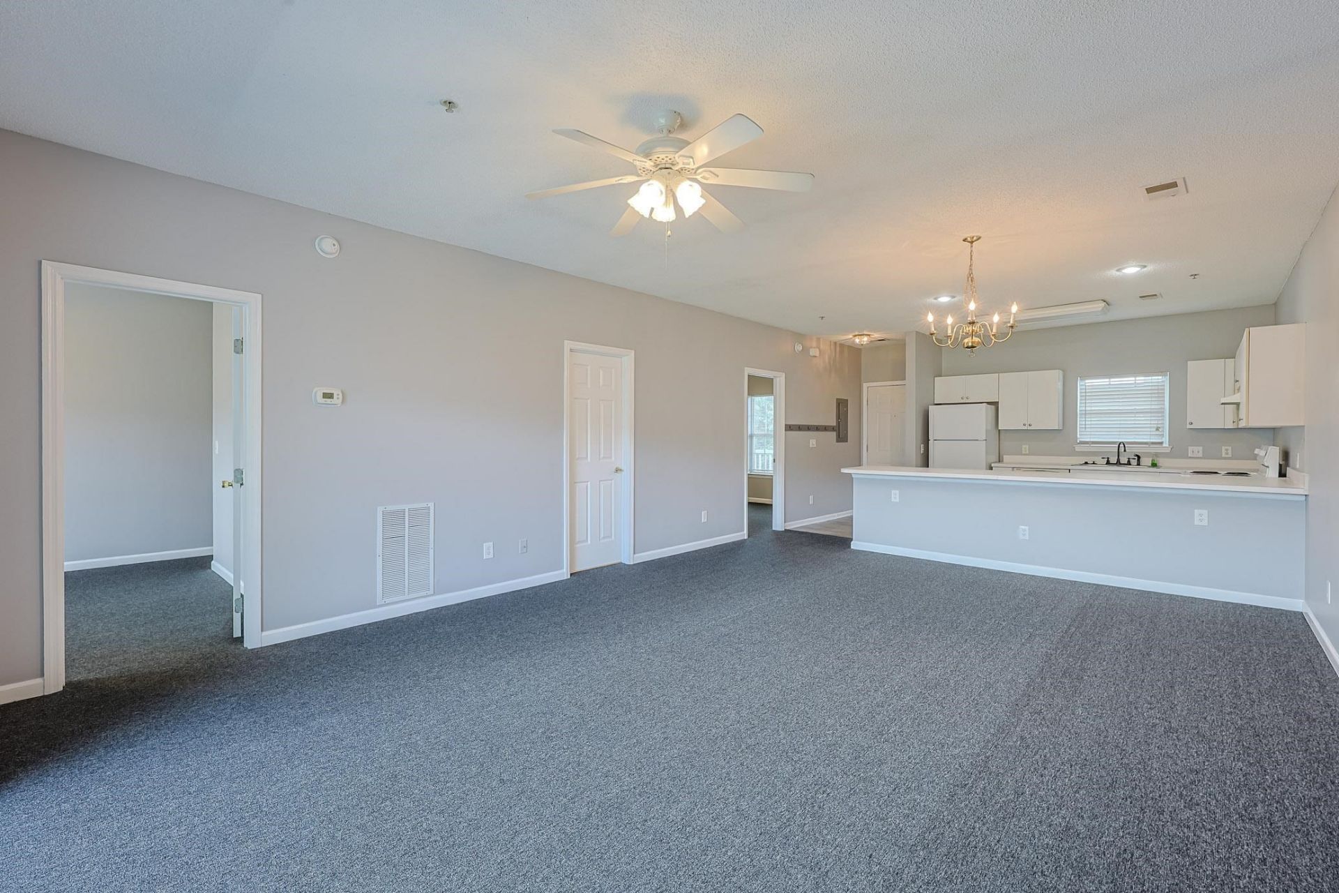 3935 Gladiola Ct.  Photo 7