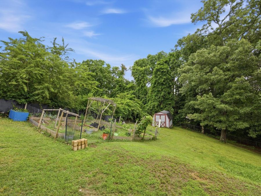 Property Image 42