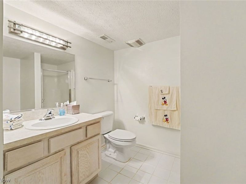 959 Grand View Lane, Aurora, OH 44202 Photo 34
