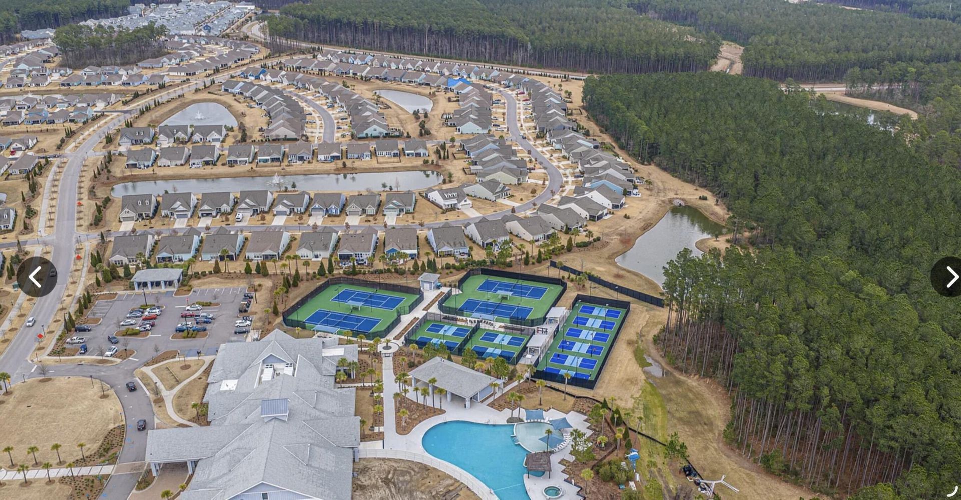 300 Autumn Azalea Way Photo 21