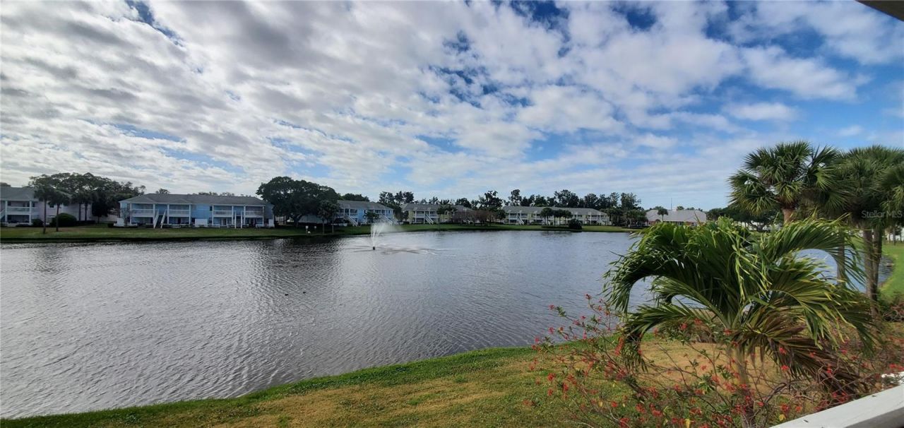 184 Pompano Drive Se, Unit D, Saint Petersburg, FL 33705 Photo