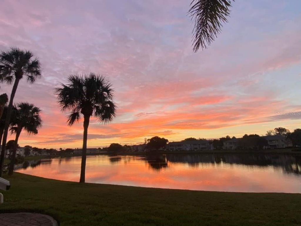 184 Pompano Drive Se, Unit D, Saint Petersburg, FL 33705 Photo