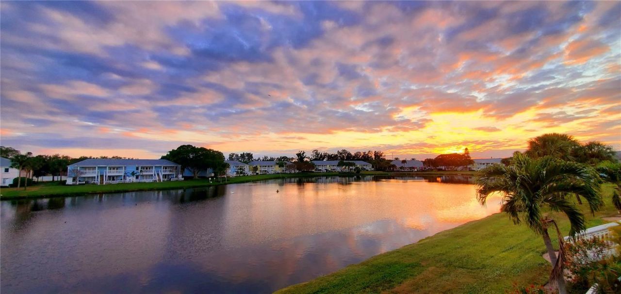 184 Pompano Drive Se, Unit D, Saint Petersburg, FL 33705 Photo