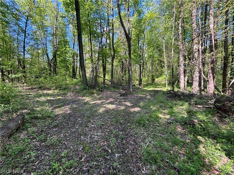 6060 Dalton Fox Lake Road, North Lawrence, OH 44666 Photo 2