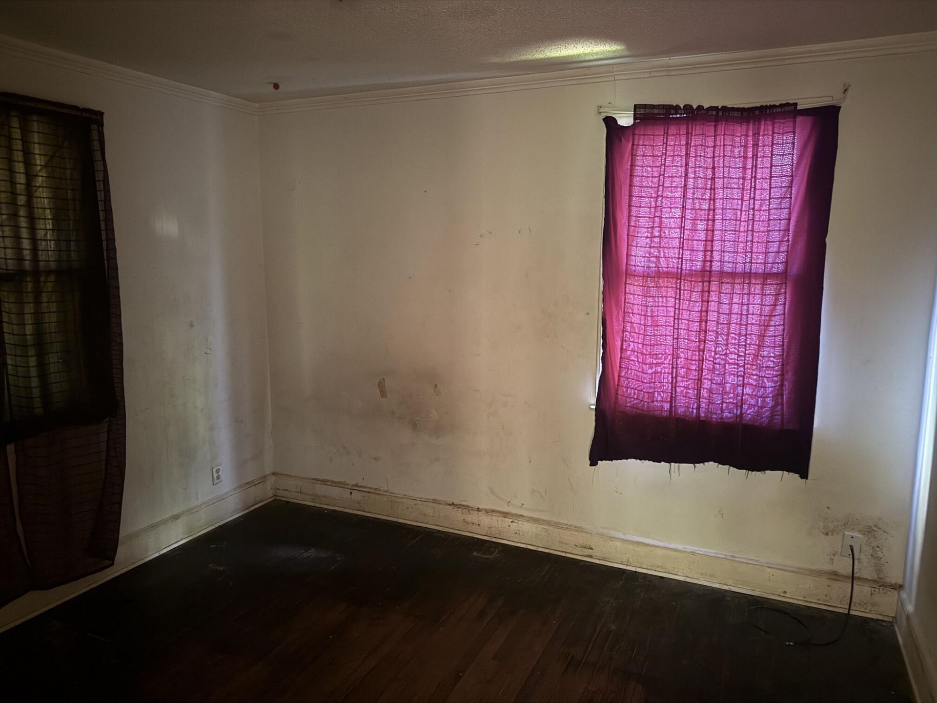 169 Ravenell Drive Photo 9