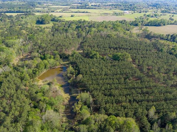 00 Farm to Market Road 2022, Grapeland, TX 75844