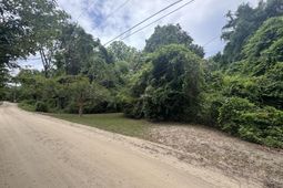 1327 North And South Road photo 4
