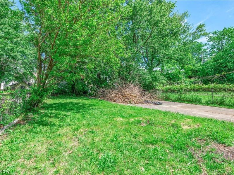 8005 Vineyard Avenue, Cleveland, OH 44105 Photo 4