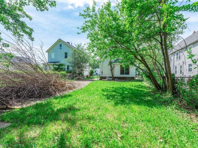 8005 Vineyard Avenue, Cleveland, OH 44105 Photo 6