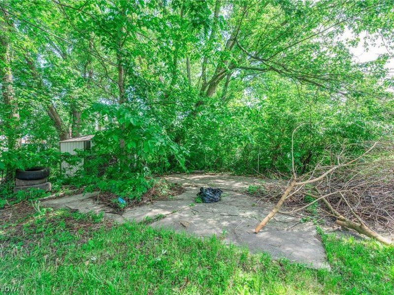 8005 Vineyard Avenue, Cleveland, OH 44105 Photo 7