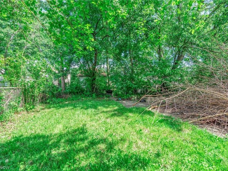 8005 Vineyard Avenue, Cleveland, OH 44105 Photo 8