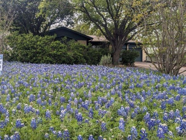 605 Kentshire CIR, Austin, TX 78704
