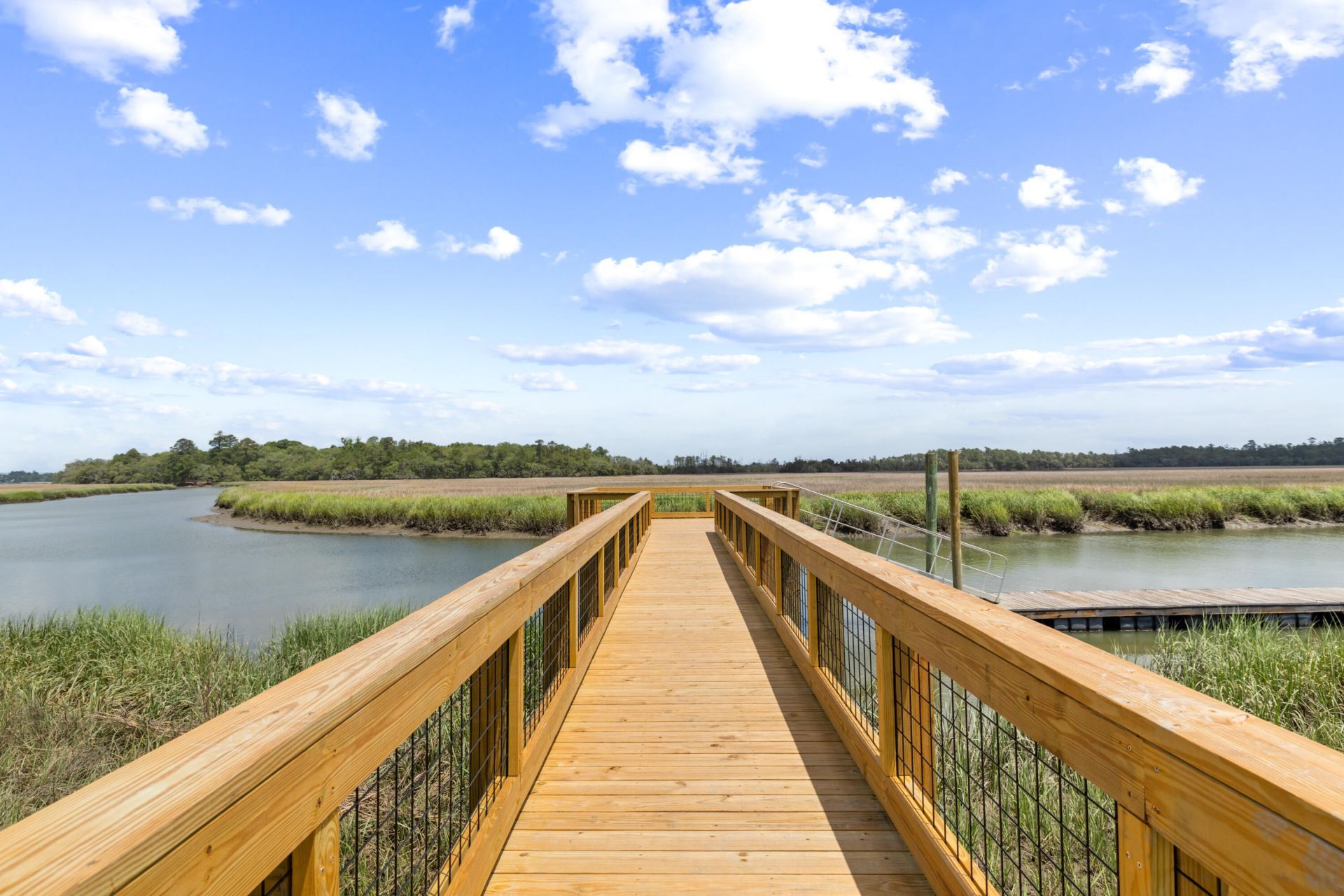 116 Summers Creek Court Photo 65