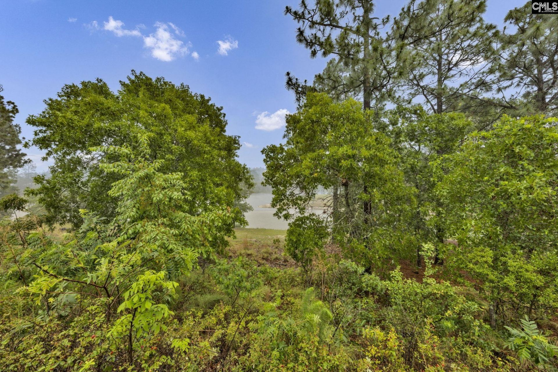 212 Indigo Springs Drive  Photo 28