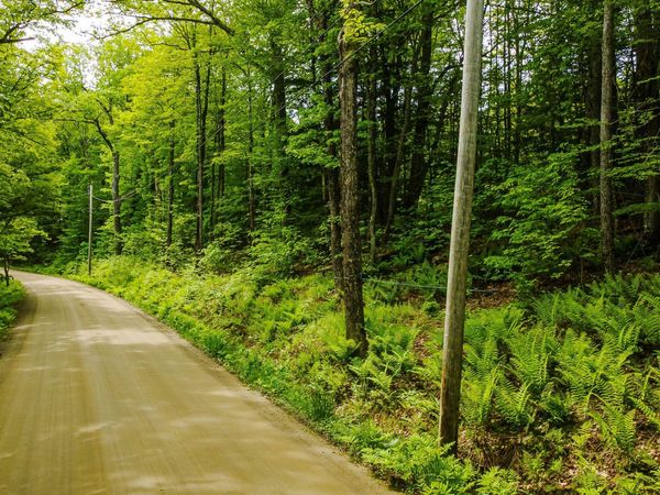 00 Camp Brook Road, Unit Map 30 Lot 67, Alstead, NH 03602