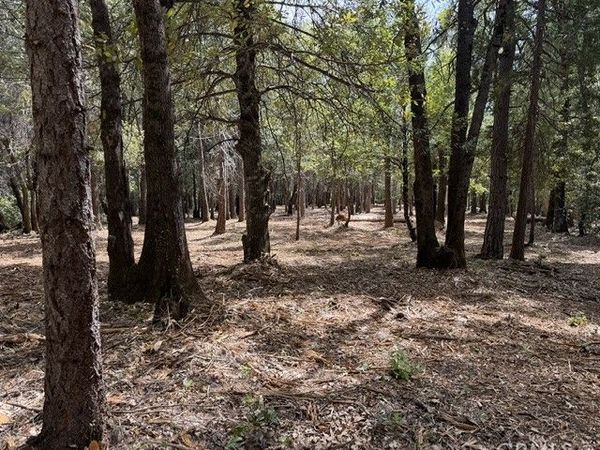 0 Platt Mountain Road, Forest Ranch, CA 95942
