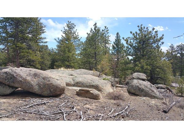 2928 Fox Acres Dr E, Red Feather Lakes, CO 80545