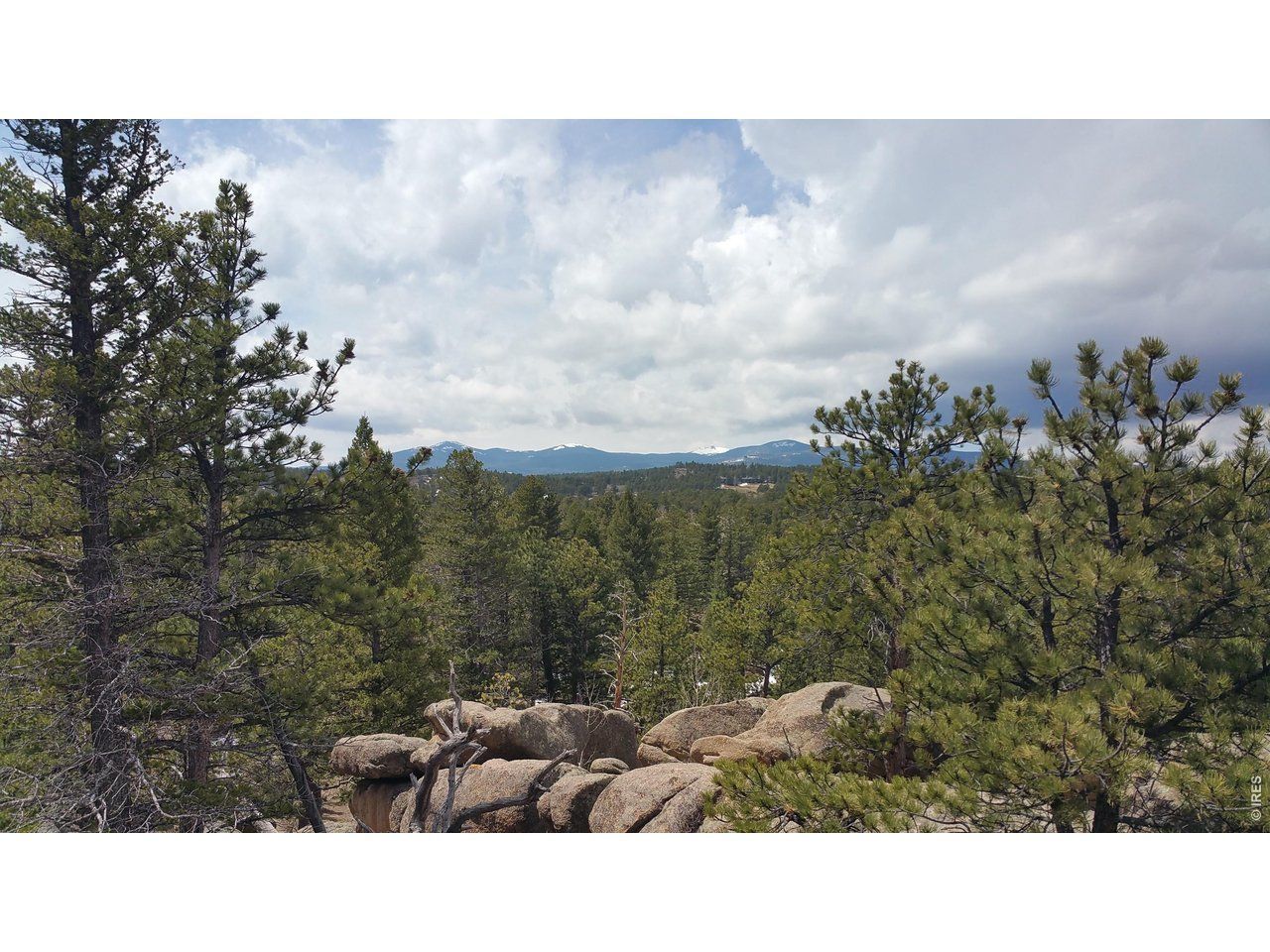2928 Fox Acres Dr E, Red Feather Lakes, CO 80545 Main Photo