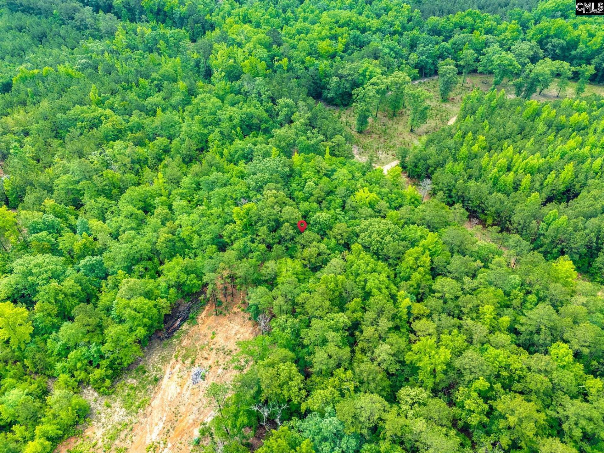 612 Toms Creek Road  Photo 10