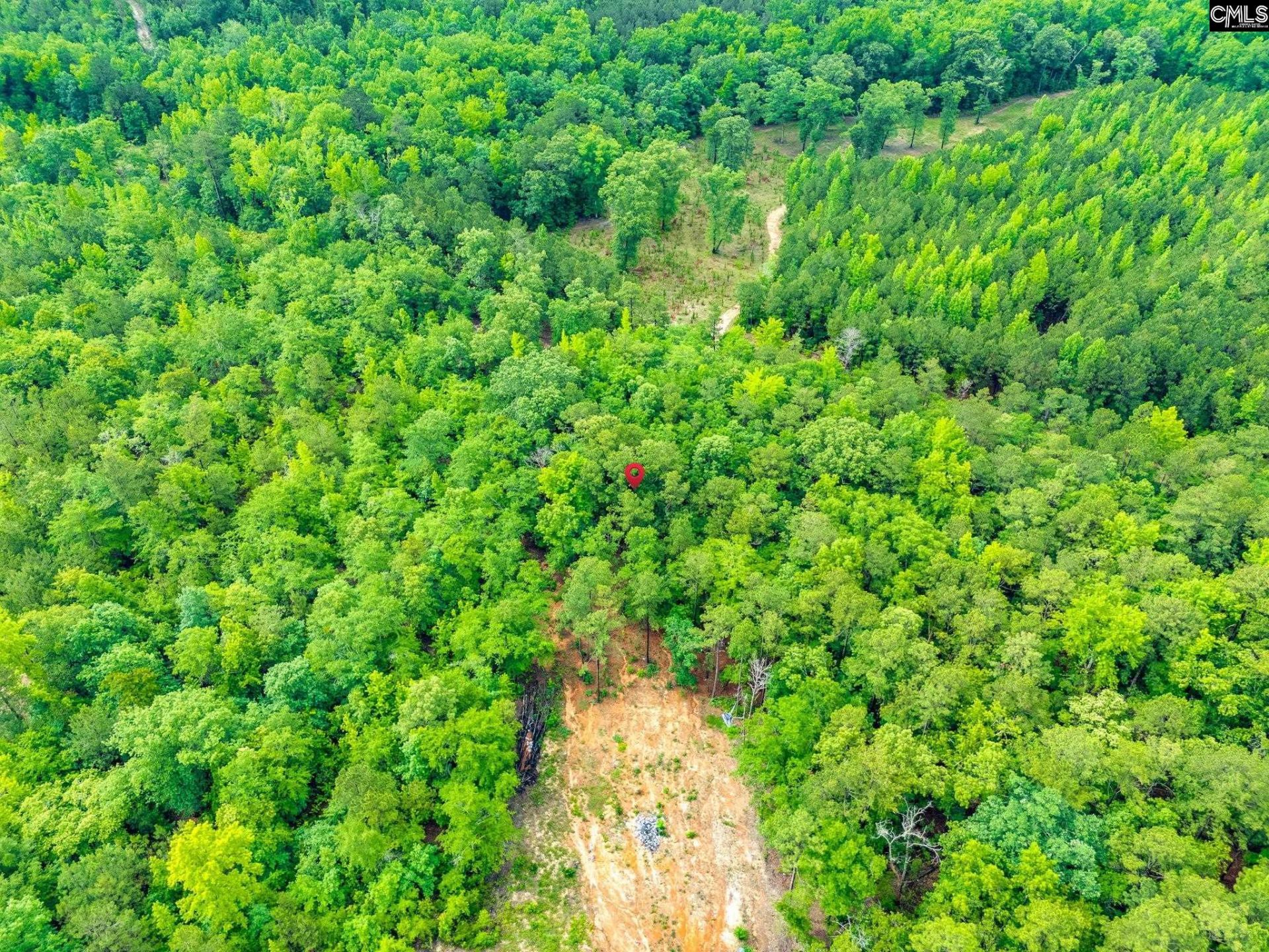612 Toms Creek Road  Photo 11