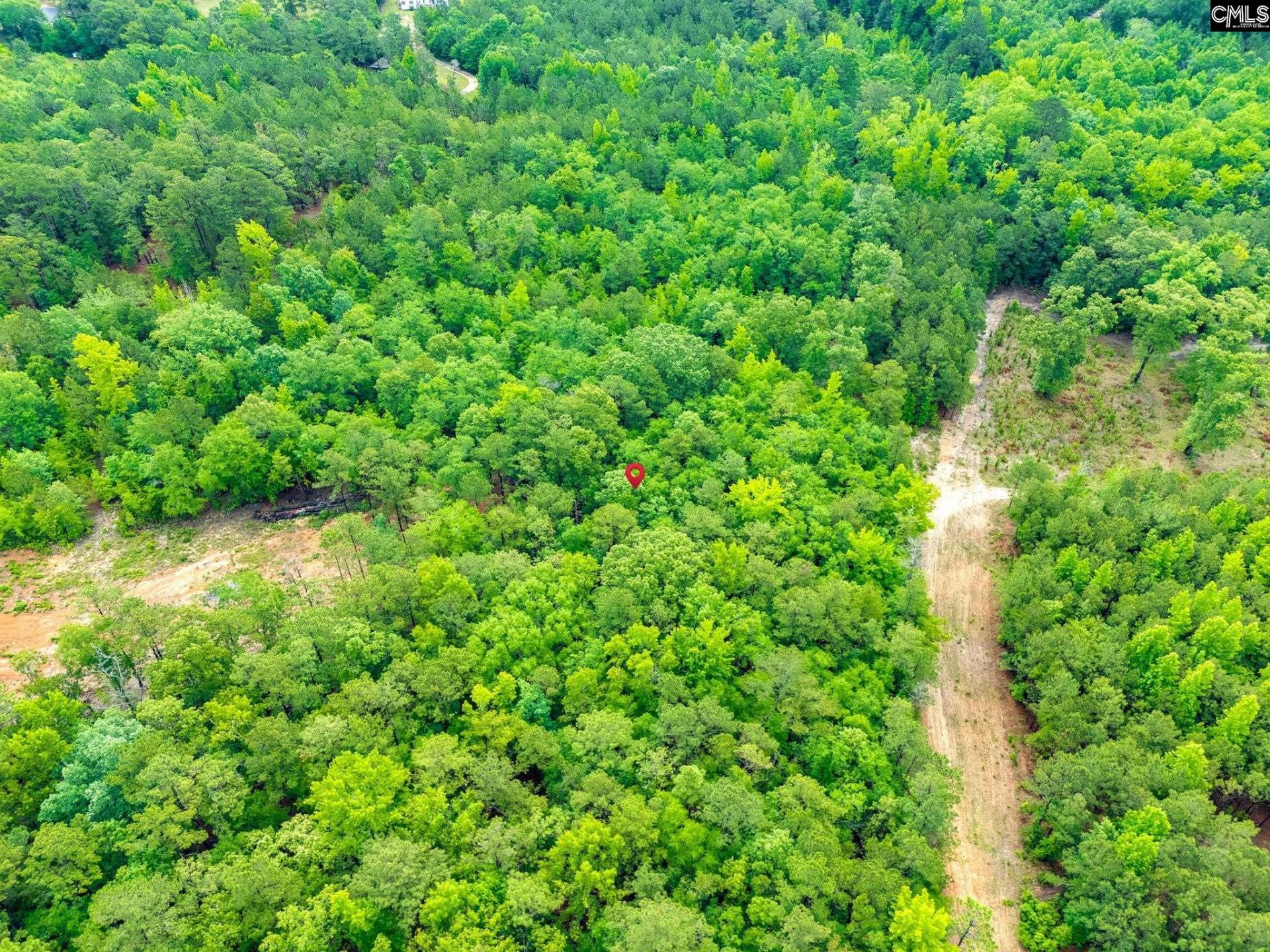612 Toms Creek Road  Photo 9