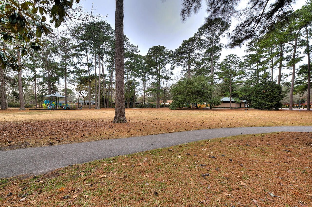 1339 Kiki Way Photo 67