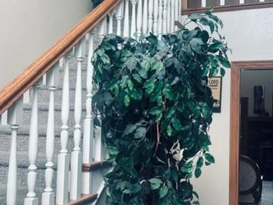 Property Image 6