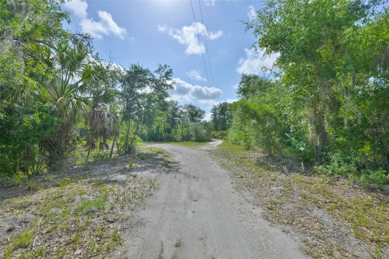14451 Highland Road, Wimauma, FL 33598 Photo