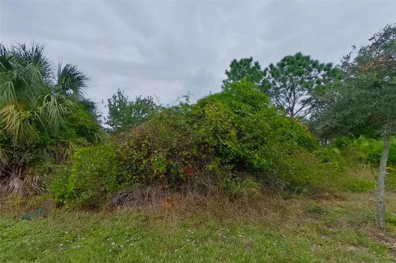 9131 Aegean Circle, Lehigh Acres, FL 33936 Photo
