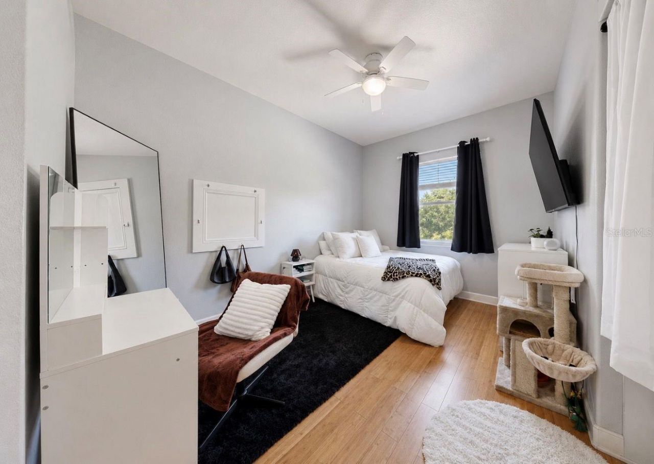 4817 Seth Lane, Plant City, FL 33565 Photo